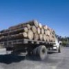 Carbon taxes could hit the transportation sector. - Mauricio Ramos/IPS