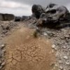 Prolonged drought can mean desertification - Mauricio Ramos/IPS