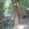 Precarious houses on the hillside of the Rocinha slum. - Fabiana Frayssinet/IPS