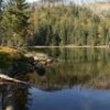 Bavarian Forest National Park - Courtesy of Alice Alteneder/Nationalpark Bayerischer Wald