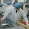 Workers at a Chilean salmon company - Courtesy of Fundación Terram