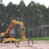 Farm machinery on a Uruguayan eucalyptus plantation - Courtesy of WRM