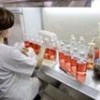 Flu virus tests at a laboratory in Spain. - Photo Stock
