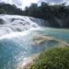 Rainforest in the state of Chiapas. - Mauricio Ramos/IPS