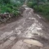 Trans-Amazonian Highway outside Altamira in the northern Brazilian state of Par&aacute;. - Mario Osava/IPS