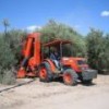 Mexico has yet to develop any profitable jojoba ventures - Desert Whale Jojoba Company