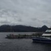 Boats approaching an island populated by imperial and rock shags. - Courtesy of Ingrid Lucer/FPN