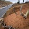 Mexico is facing its worst drought in seven decades. - Mauricio Ramos/IPS
