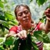 Coffee grower Lourdes Altamirano from the Nicaraguan cooperative Aldea Global, which produces Tierra Madre coffee. - Courtesy of Interm&oacute;n Oxfam