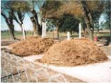 Organic wastes are gathered to produce compost, which is then distributed among the local residents. - Courtesy of the Argentine Network of Municipalities to Confront Climate Change Organic wastes are gathered to produce compost, which is then distributed among the local residents. - Courtesy of the Argentine Network of Municipalities to Confront Climate Change