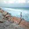 Beaches form part of the coastal ecosystem -- beach erosion hurts marine life - Proceso