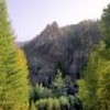 The taiga biome is home to Siberian pine and fir trees. - Photo Stock