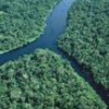 Good-bye dense Amazon jungle? - Photo Stock